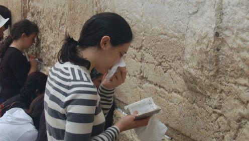 吃瓜娱乐君被告